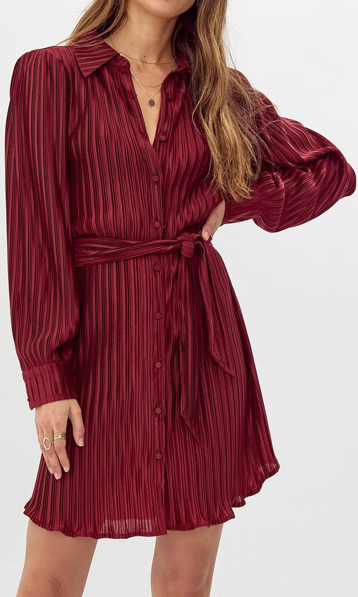 Gail Pleated Shirt Dress