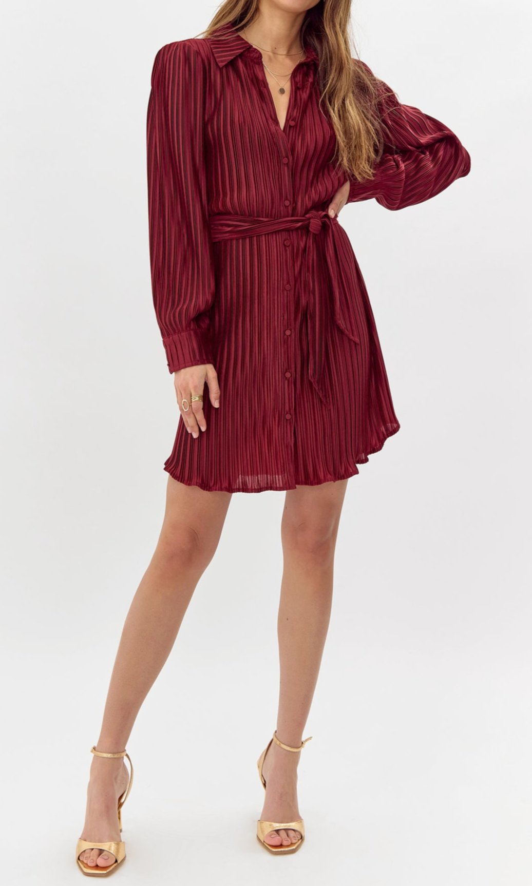 Gail Pleated Shirt Dress